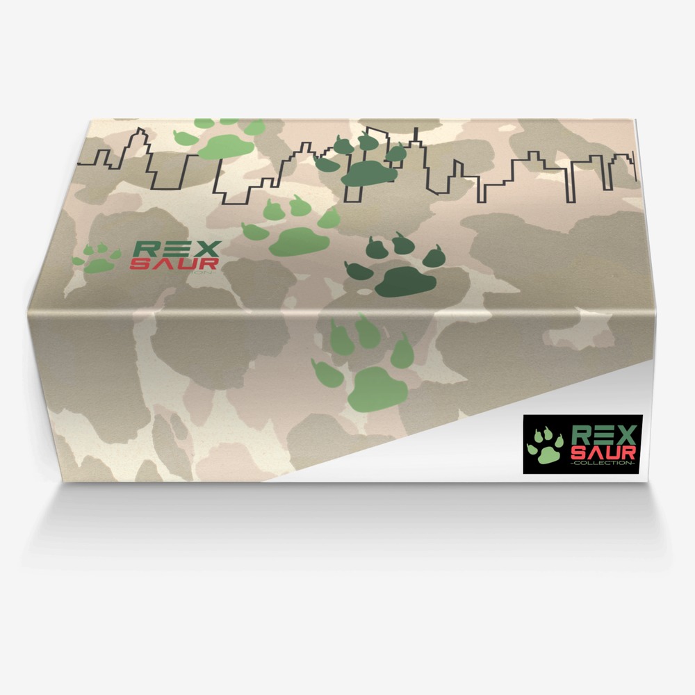 Rexsaur custom made in Italy shoes by Denise Campbell | Box view