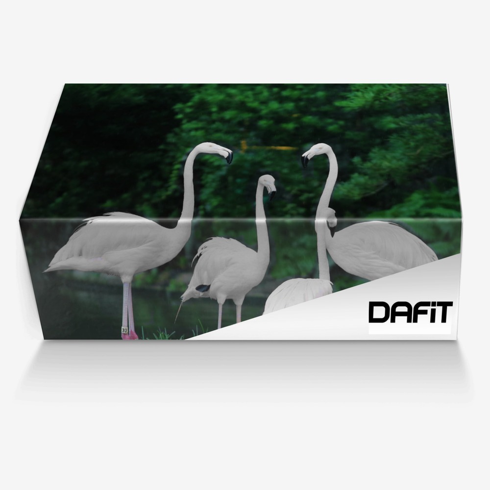 Dafit meta verse custom made in Italy shoes by Michael Brownlee | Box view