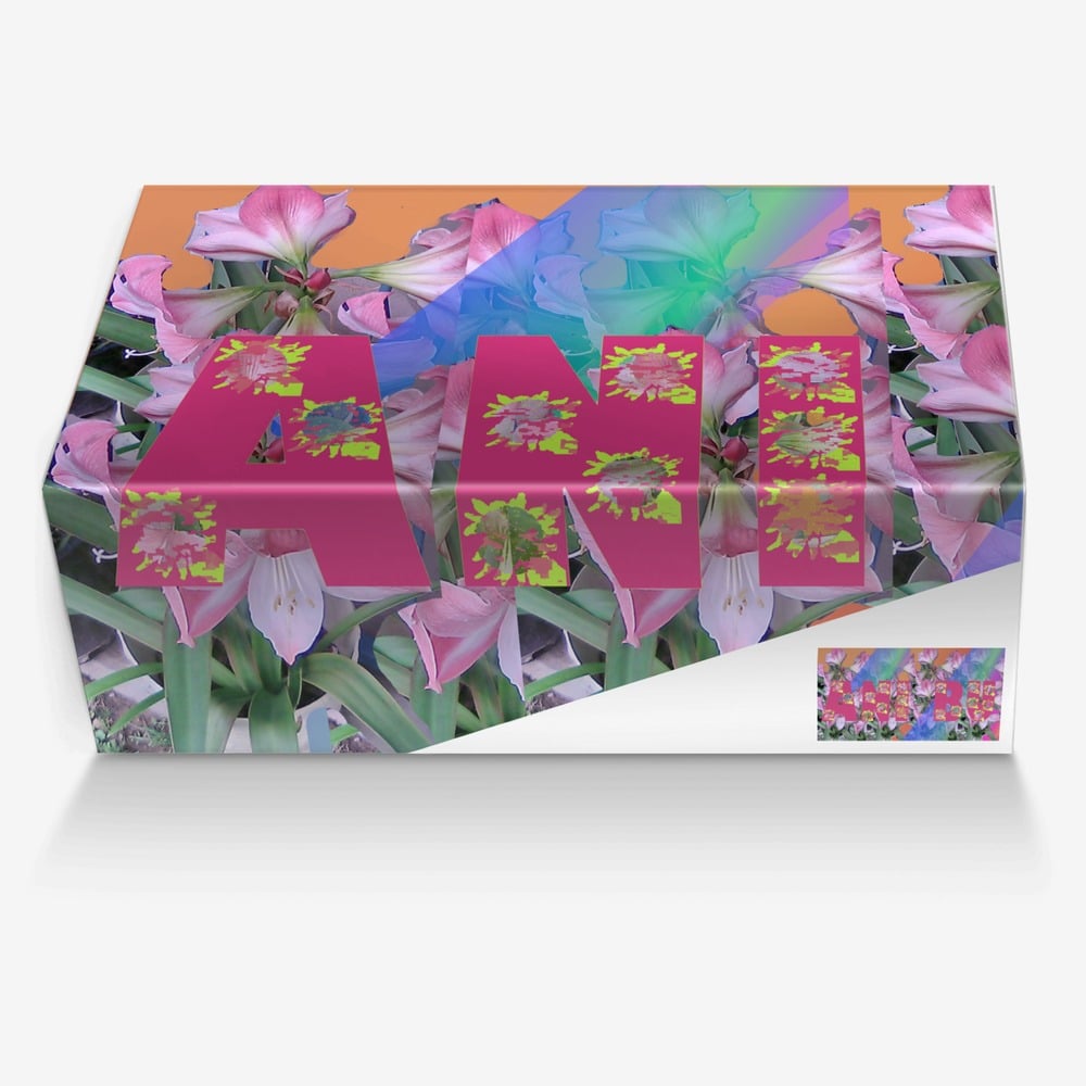 Ani Bu  custom made in Italy shoes by Carl Danielle | Box view