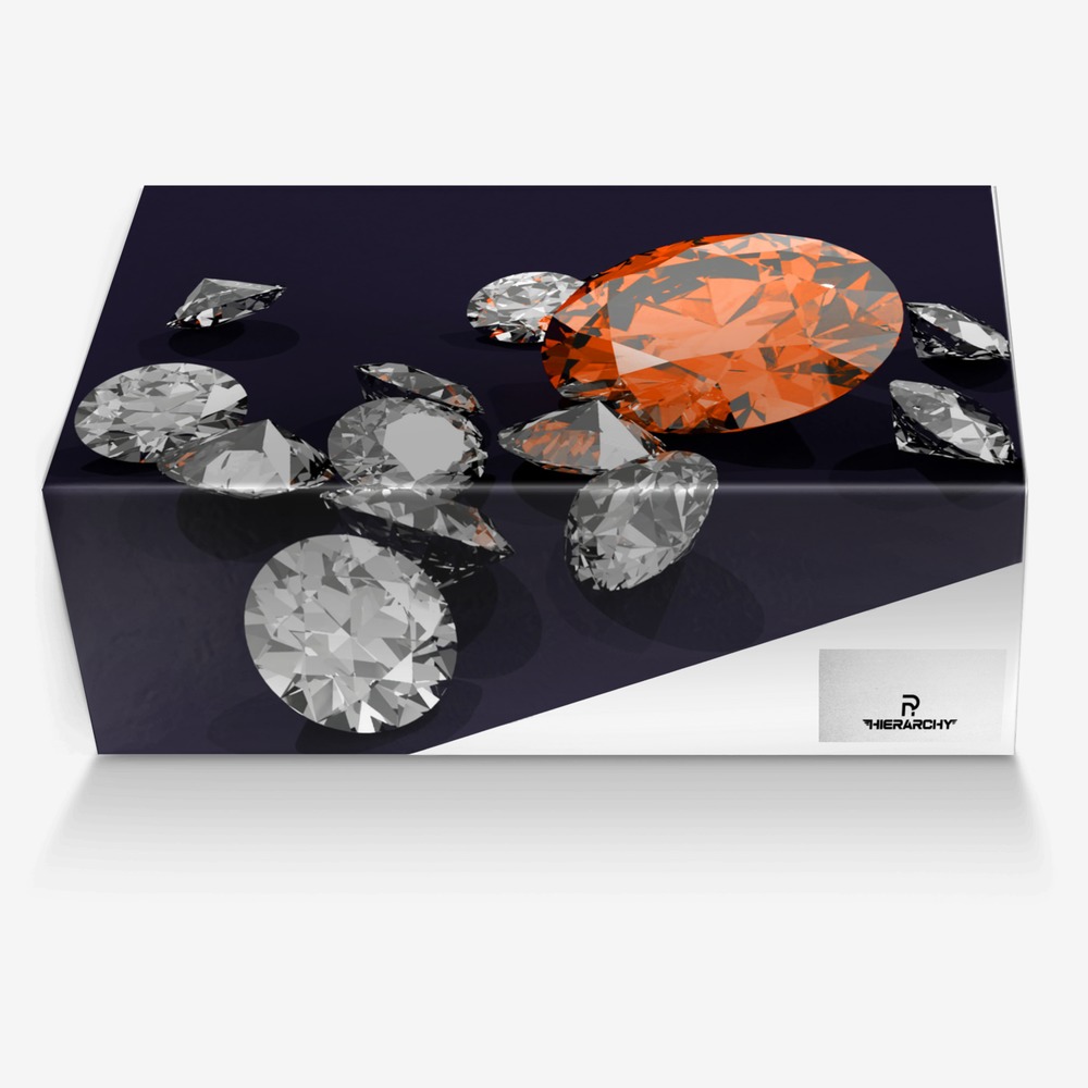 Hierarchy custom made in Italy shoes by Nasim Pasha | Box view