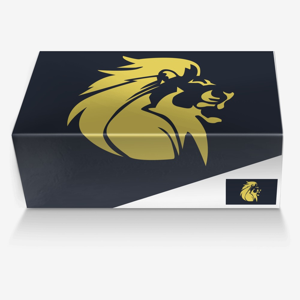 CasaNova custom made in Italy shoes by Ahmed F M Hamdan | Box view