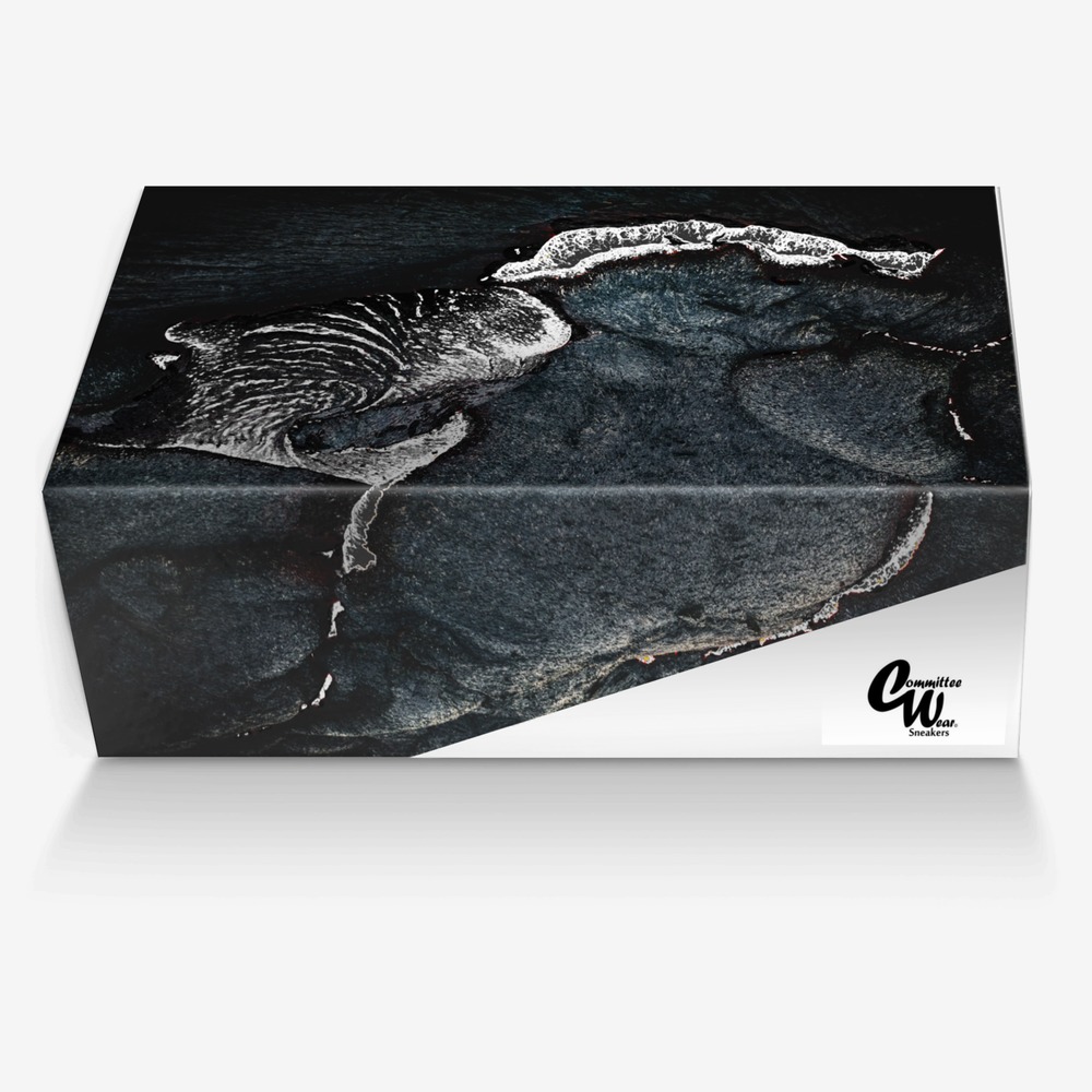 CW Backfire custom made in Italy shoes by Terrence Ford | Box view