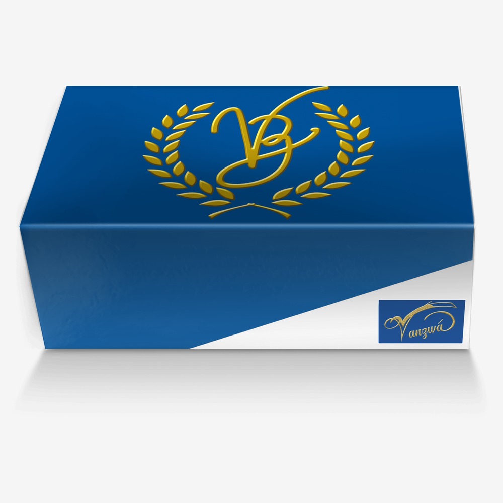 Vanzwá custom made in Italy shoes by Michael vanzandt | Box view