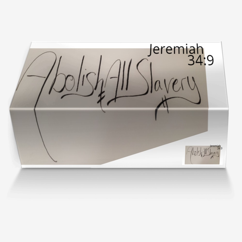 The Abolitionist custom made in Italy shoes by S.t.i.l. Bright | Box view