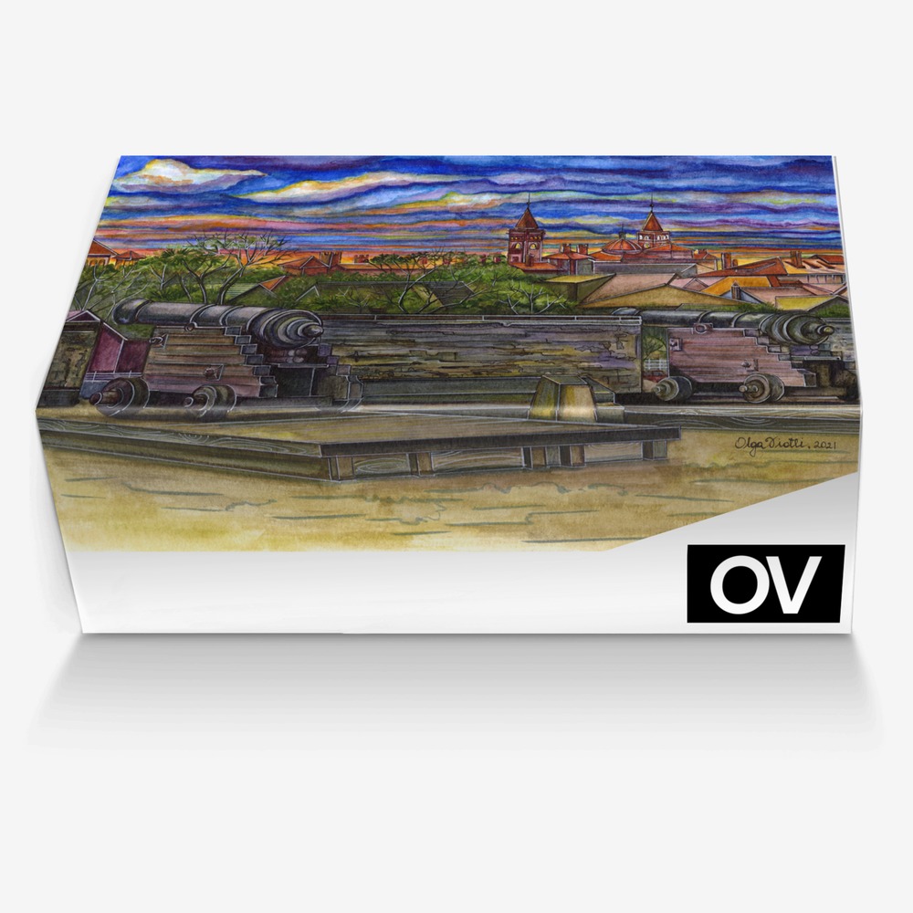 OLGA VIOTTI OV custom made in Italy shoes by Olga Viotti | Box view