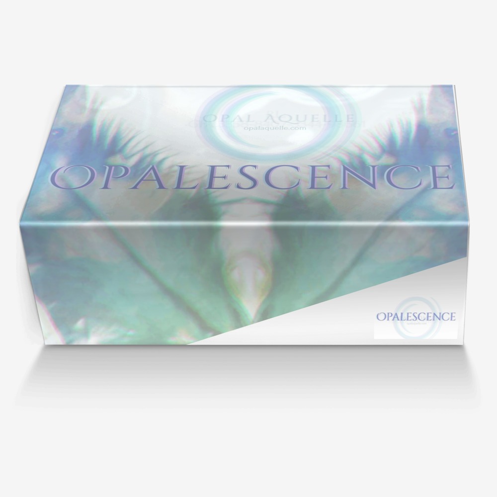 Opalescence custom made in Italy shoes by Opal Aquelle | Box view