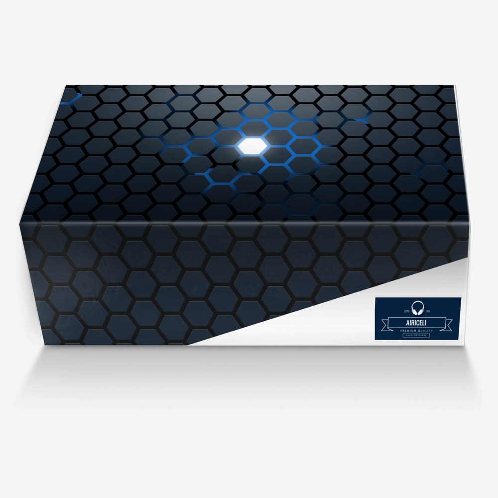 Airiceli  custom made in Italy shoes by Ronald Durio | Box view