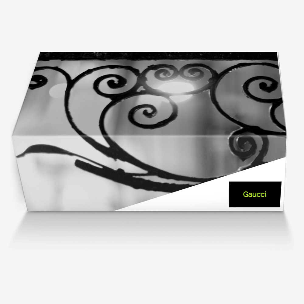 Gaucci custom made in Italy shoes by Chardazha Paige | Box view