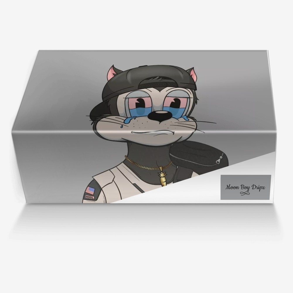 Moon Boy Dripz custom made in Italy shoes by $tackz / Wasia | Box view