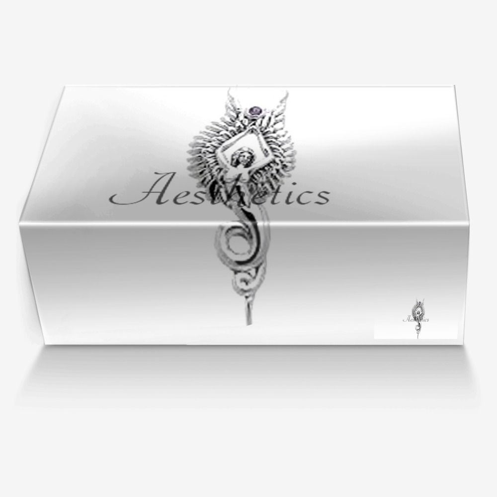 Aesthetics 5 custom made in Italy shoes by Cj Palmer | Box view