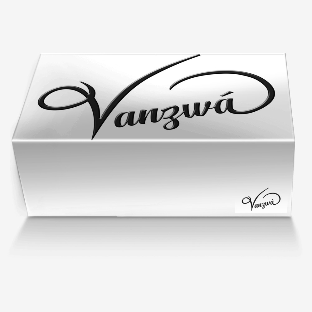 Vanzwá custom made in Italy shoes by Michael vanzandt | Box view