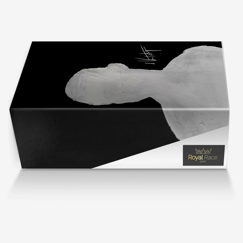 ROYAL RACE GMP  custom made in Italy shoes by Princess Yvonne Guébli | Box view