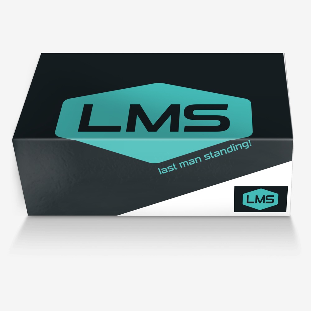 LMS custom made in Italy shoes by Guilherme Lemes | Box view
