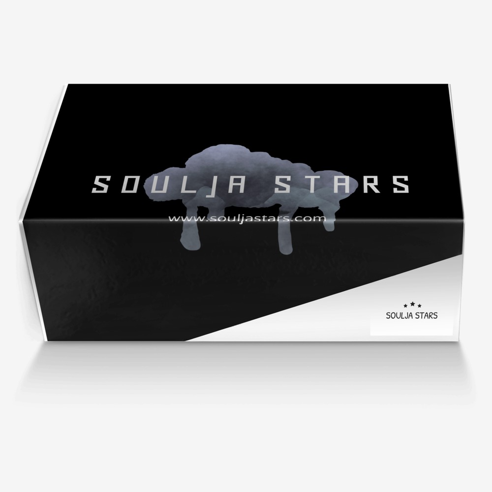 Soulja Stars custom made in Italy shoes by Deandre Way | Box view