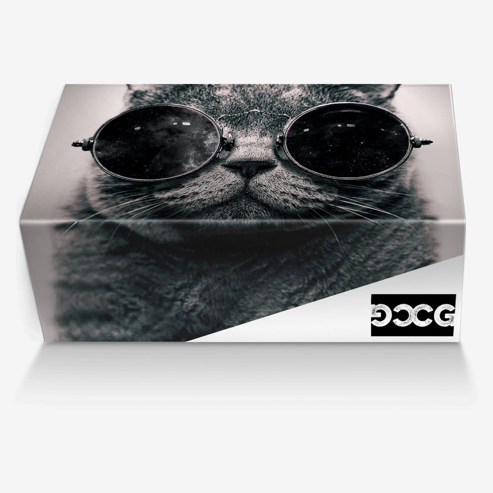 Polar Bear custom made in Italy shoes by Derrick Wilson | Box view