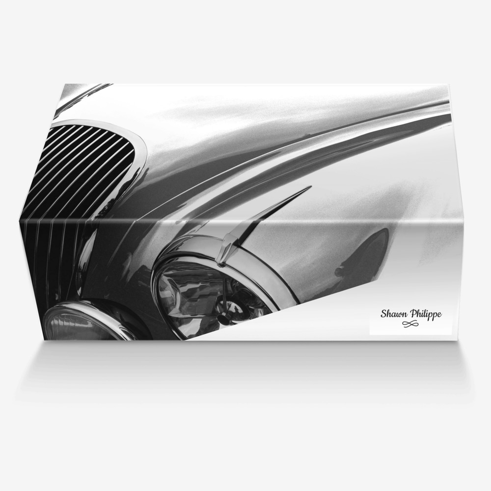 Shawn Philippe custom made in Italy shoes by S. Hobbs | Box view