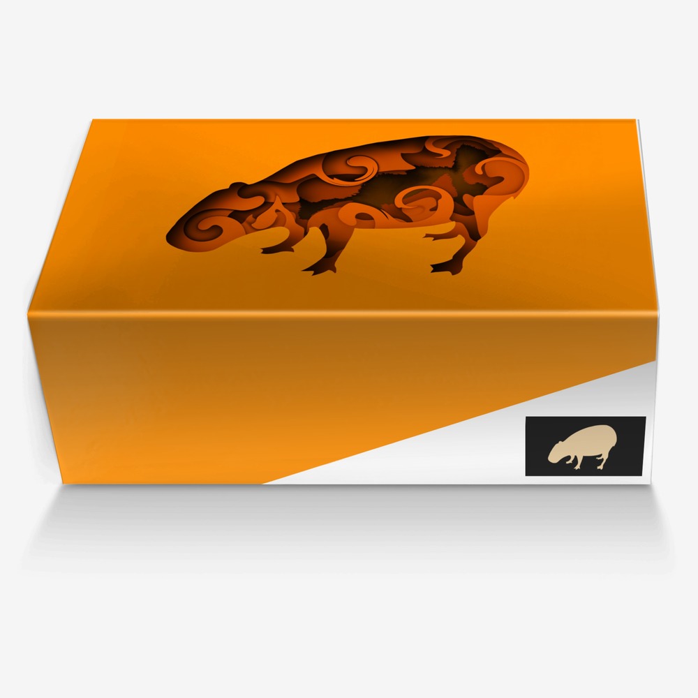 CapyBara custom made in Italy shoes by Samuel Novitzky | Box view