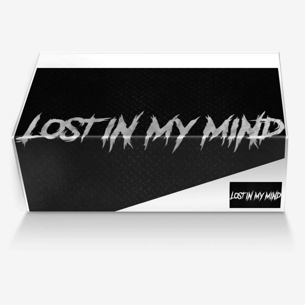 LosT In My MinD  custom made in Italy shoes by Prince Boswell | Box view