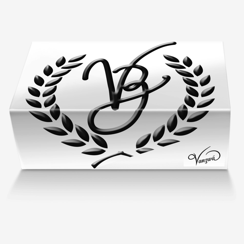 Vanzwá custom made in Italy shoes by Michael vanzandt | Box view