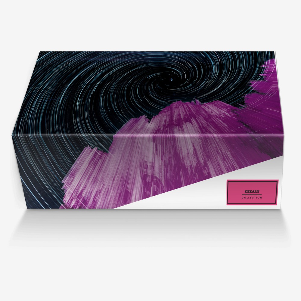 CeeJay custom made in Italy shoes by Rob Dorchak | Box view