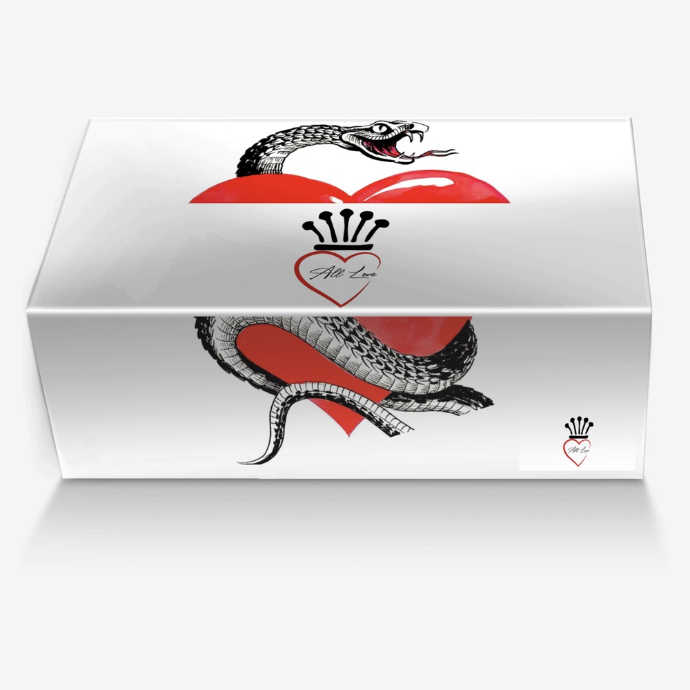 SHB 808s custom made in Italy shoes by Dorian Hall | Box view