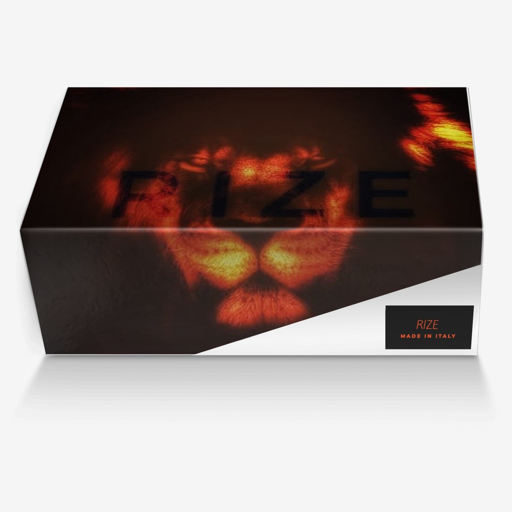 Priop-Rize Edition custom made in Italy shoes by Wayne Riddick Jr | Box view