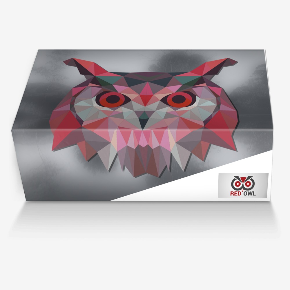 RED OWL_agency custom made in Italy shoes by Agency Aliveshoes | Box view