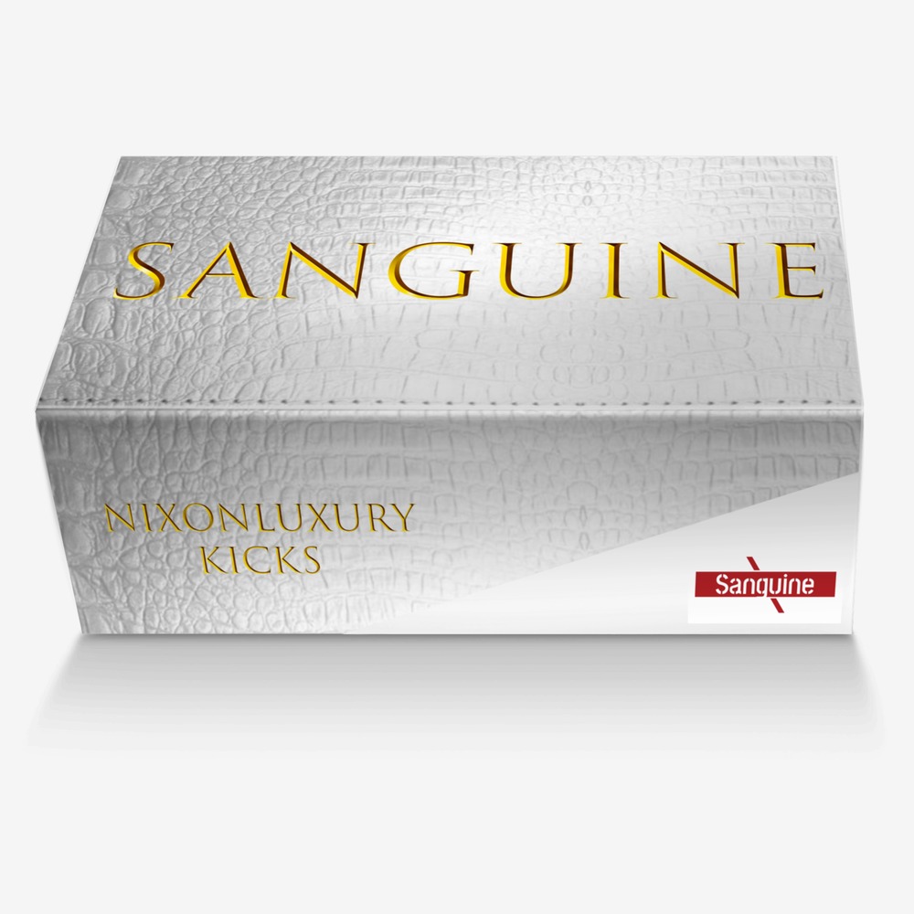 Sanguine custom made in Italy shoes by Ray Kolinski | Box view