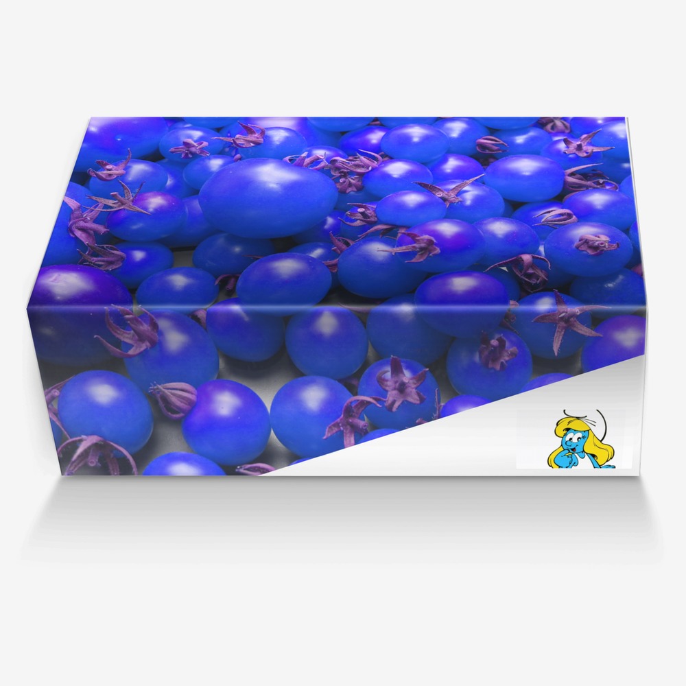Smurfette custom made in Italy shoes by Blackluxmatters | Box view