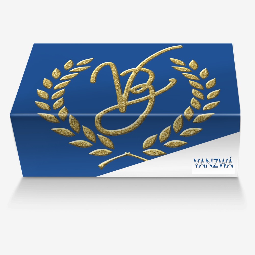 Vanzwá custom made in Italy shoes by Michael vanzandt | Box view