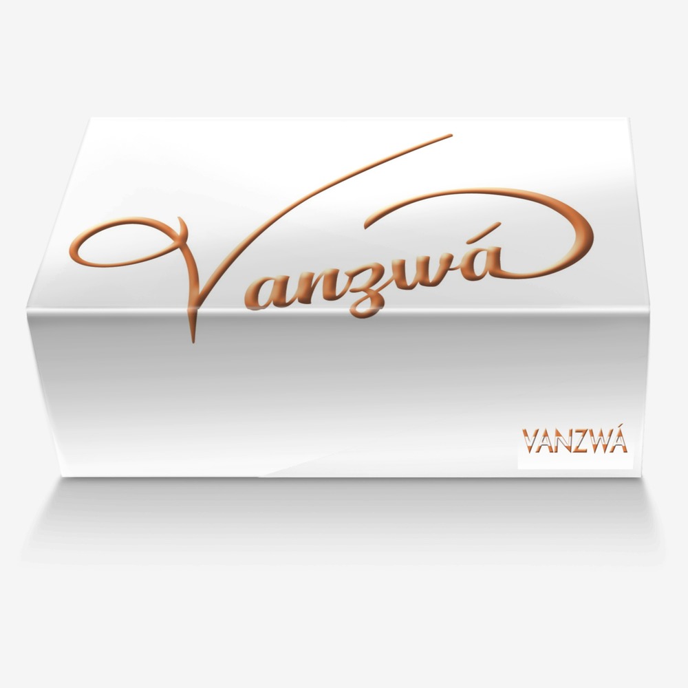 Vanzwá Fashion custom made in Italy shoes by Michael vanzandt | Box view