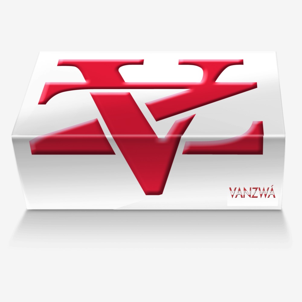 Vanzwá custom made in Italy shoes by Michael vanzandt | Box view
