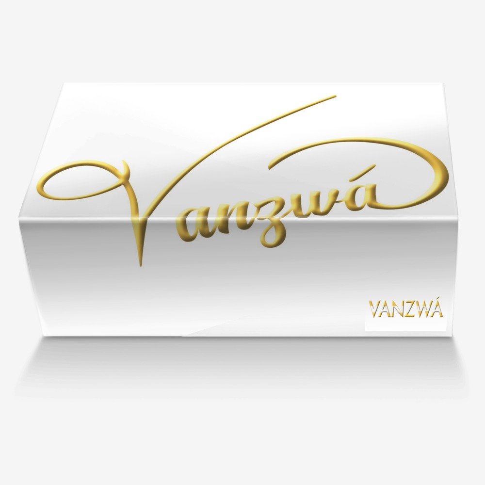 Vanzwá custom made in Italy shoes by Michael vanzandt | Box view