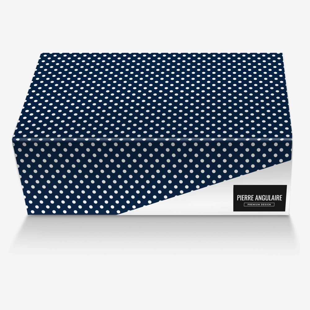 IOTA custom made in Italy shoes by Damien Moulomba | Box view