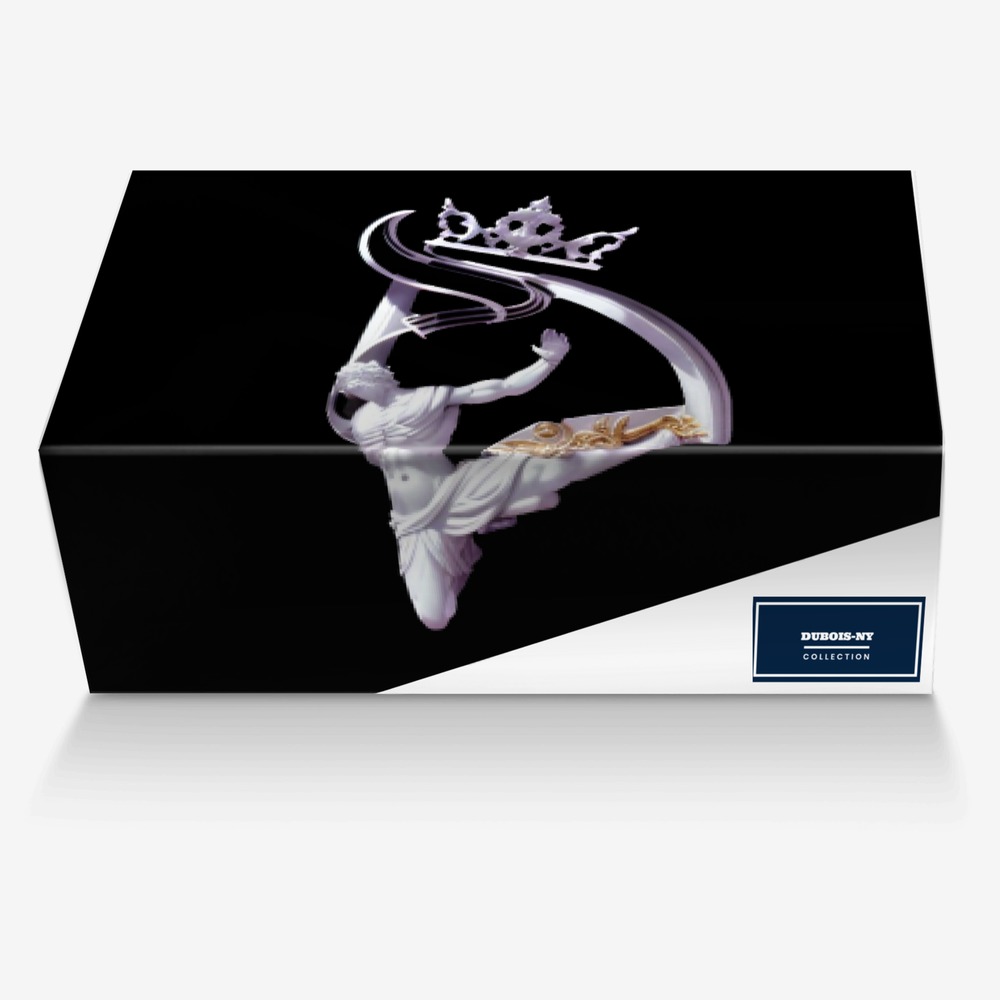 ELYSIAN HEIGHTS custom made in Italy shoes by Romelo Dafirst | Box view