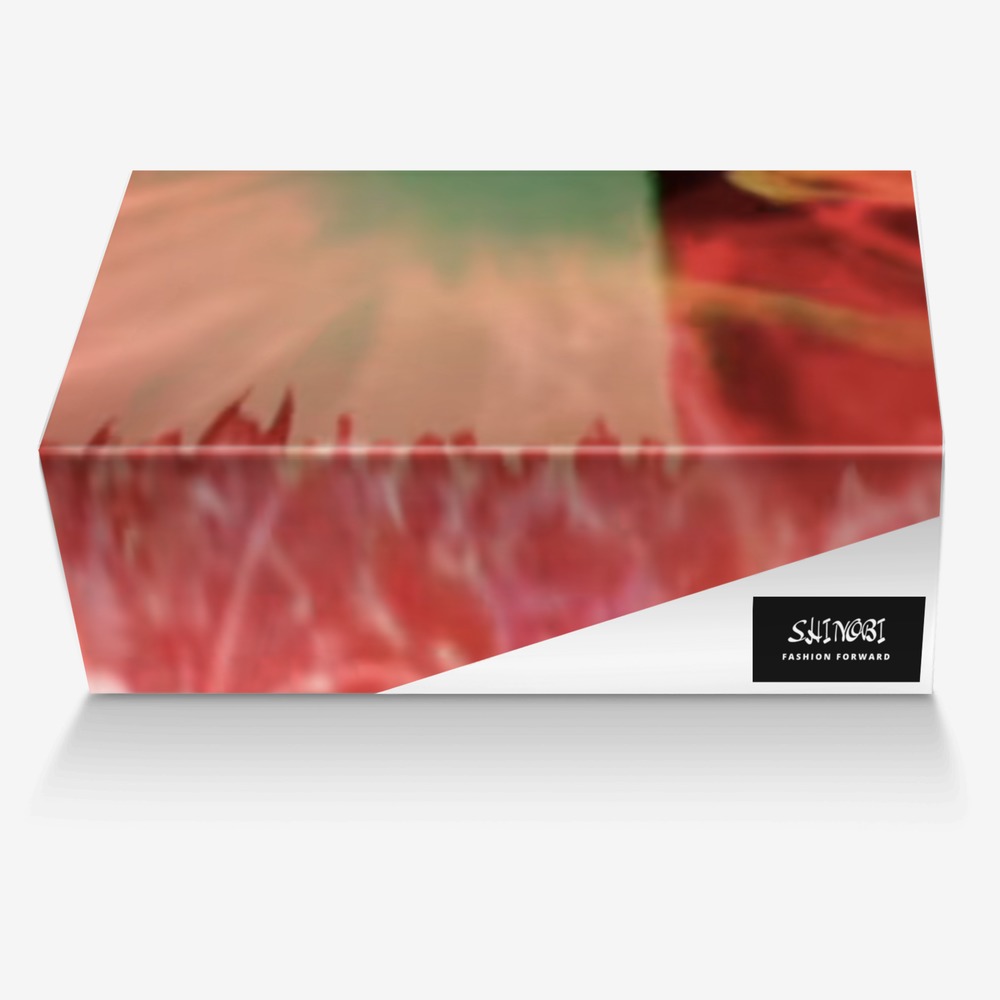 Mono Ami custom made in Italy shoes by Flaukowski | Box view