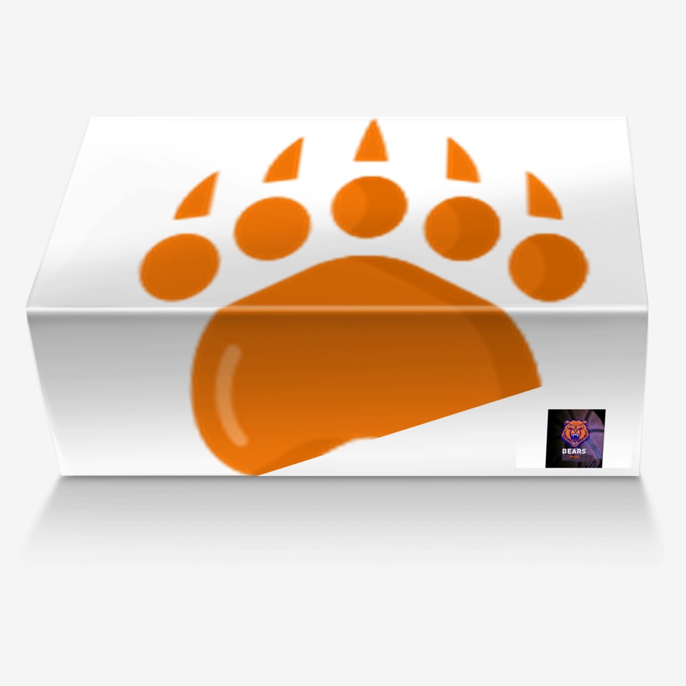 Bear Pride Shoe custom made in Italy shoes by Designs By Dako | Box view