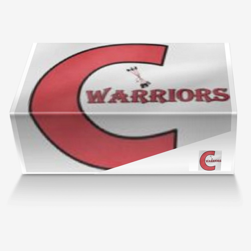 Warrior Pride custom made in Italy shoes by Designs By Dako | Box view