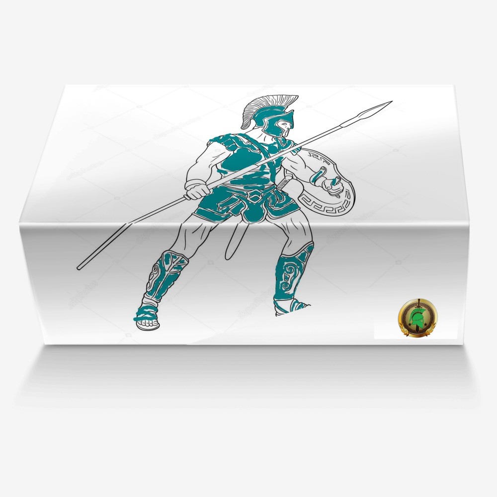 Spartans Pride custom made in Italy shoes by Designs By Dako | Box view