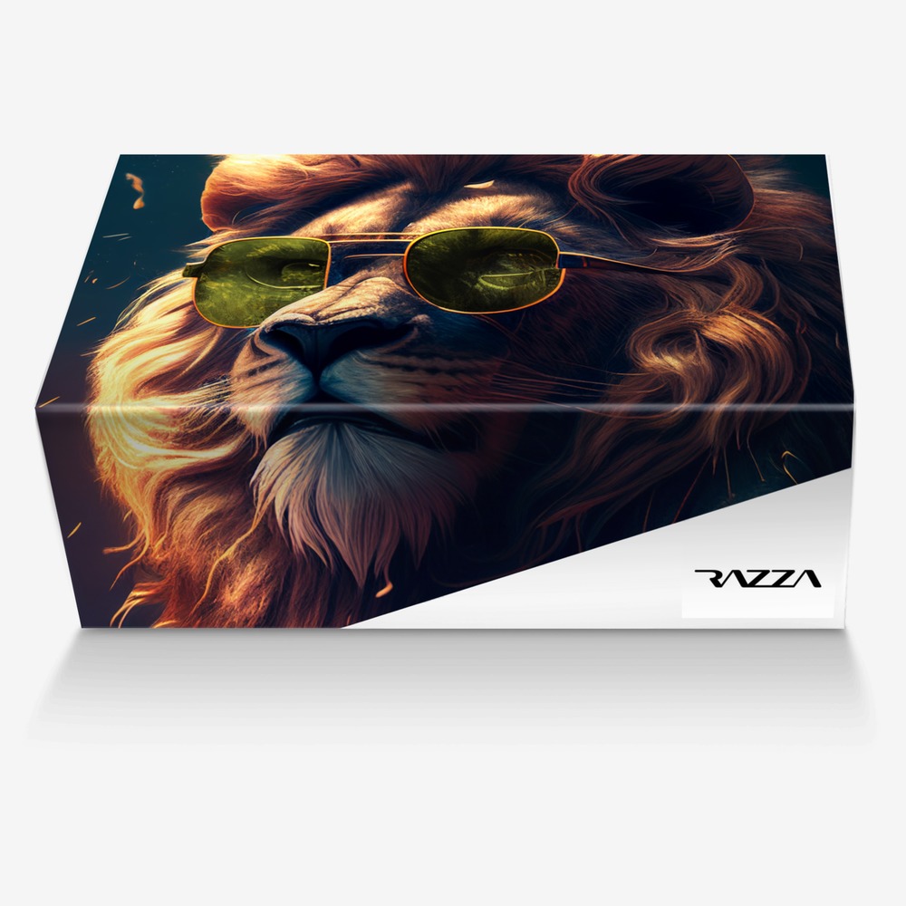 Razza Re The Lion custom made in Italy shoes by Rich King | Box view