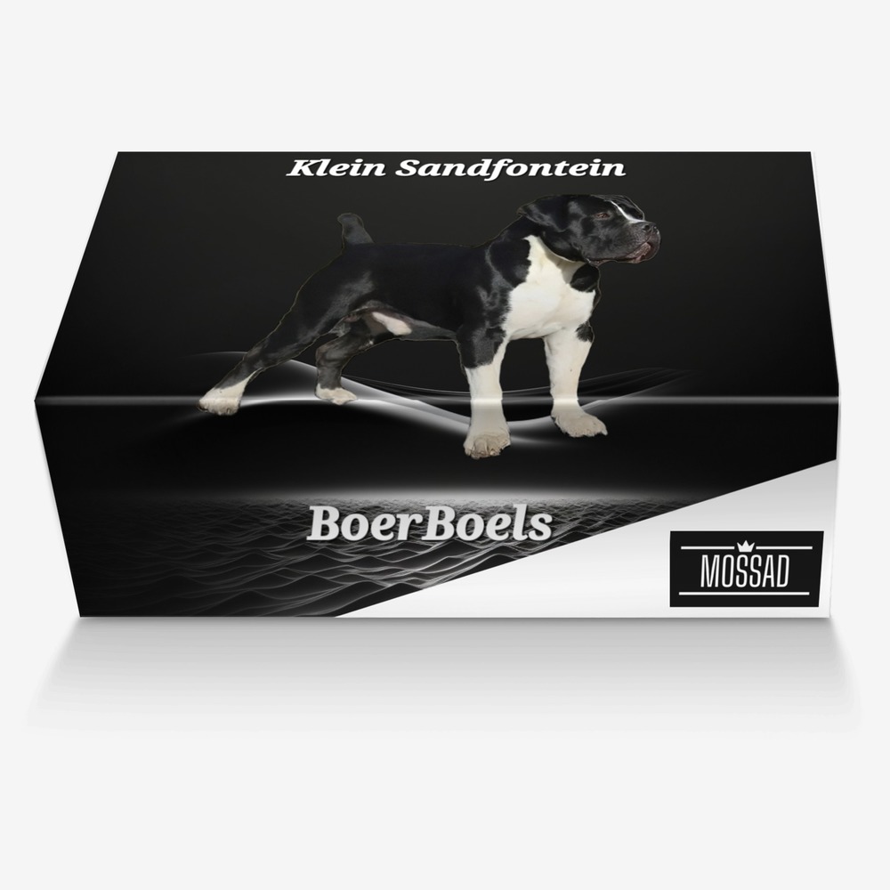 MOSSAD custom made in Italy shoes by Jay Rock | Box view