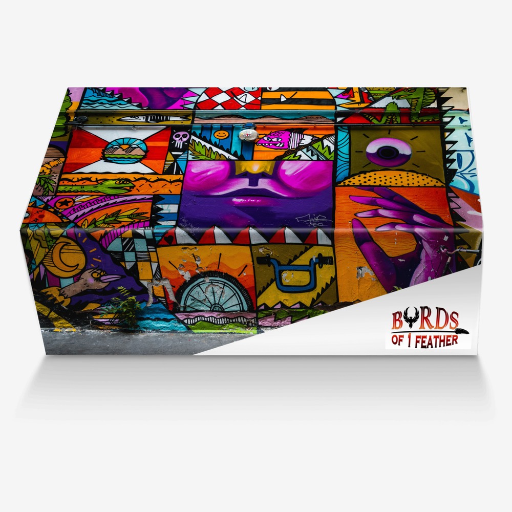 Byrds of 1 Feather custom made in Italy shoes by Pamela D Smith | Box view