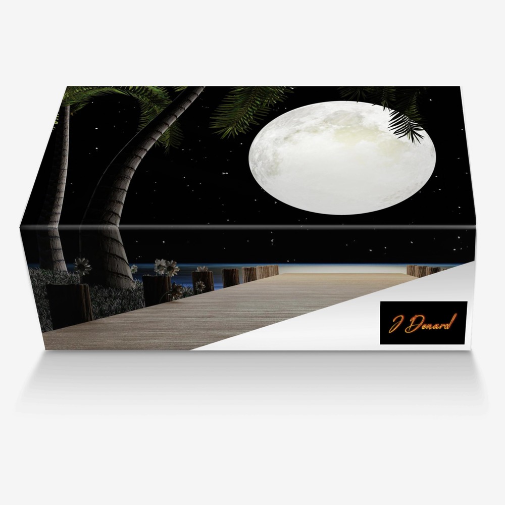 J Denard  custom made in Italy shoes by Jarrod Dixon | Box view