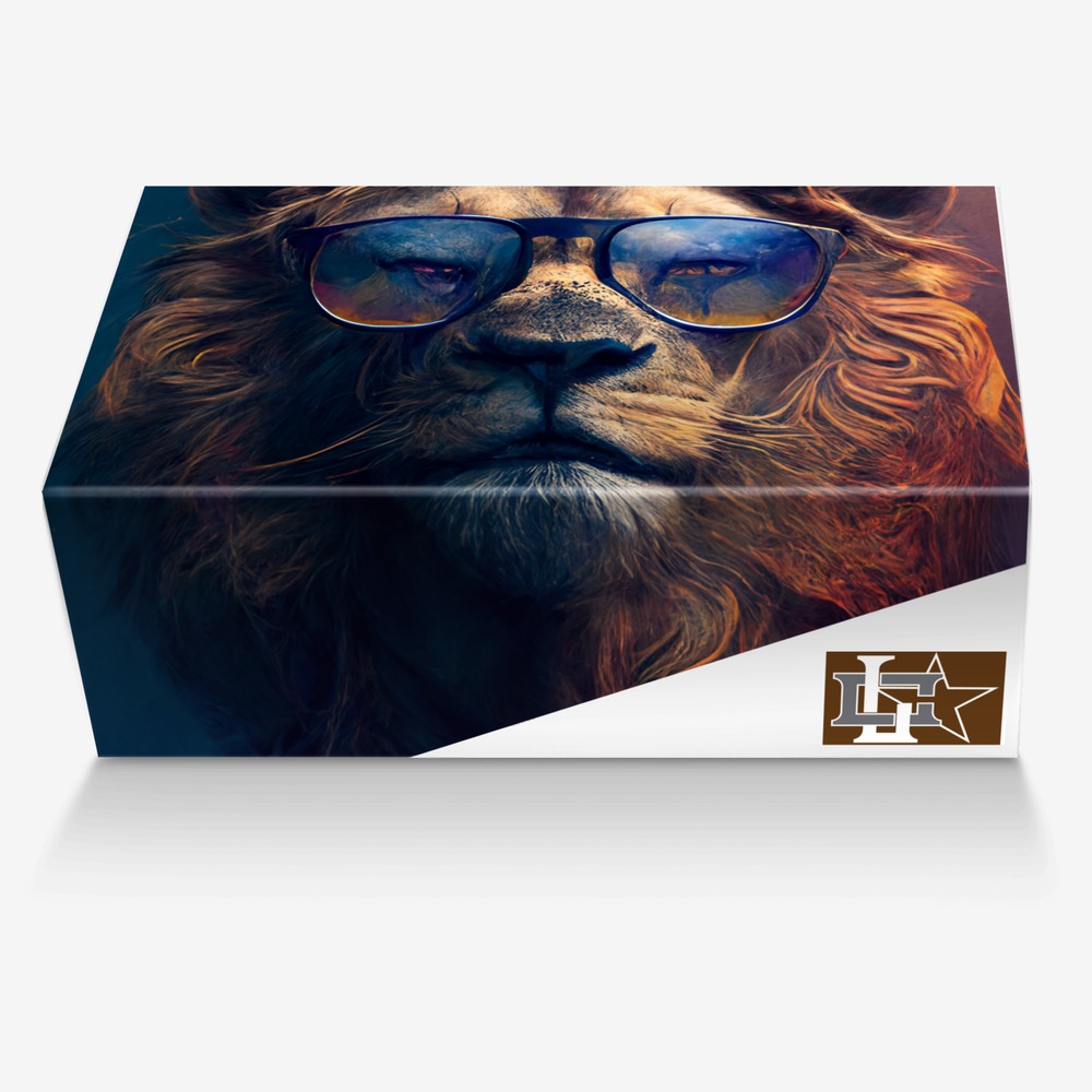 concrete lion custom made in Italy shoes by Rodney R. | Box view