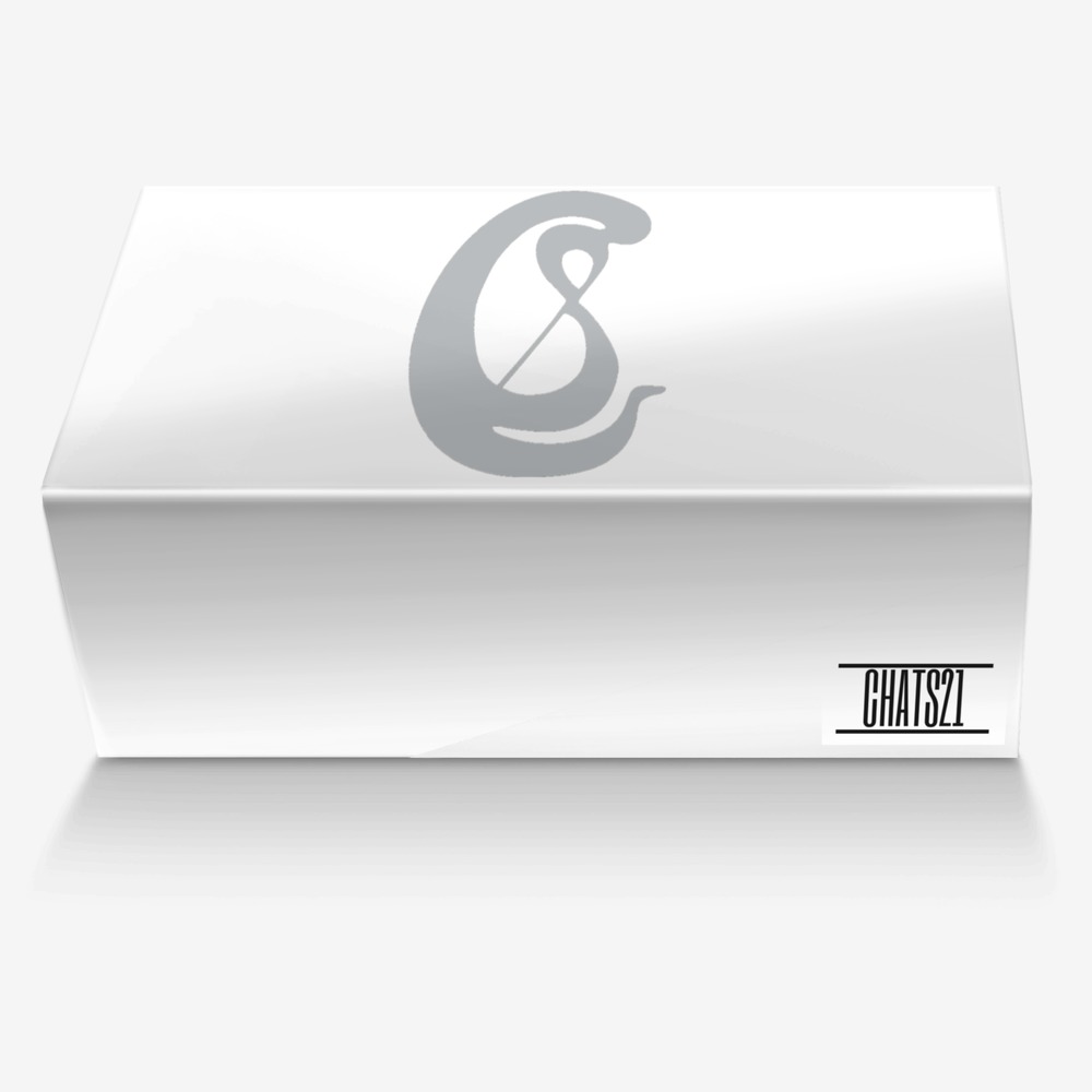 CHATS21 custom made in Italy shoes by Schurod Chatman | Box view
