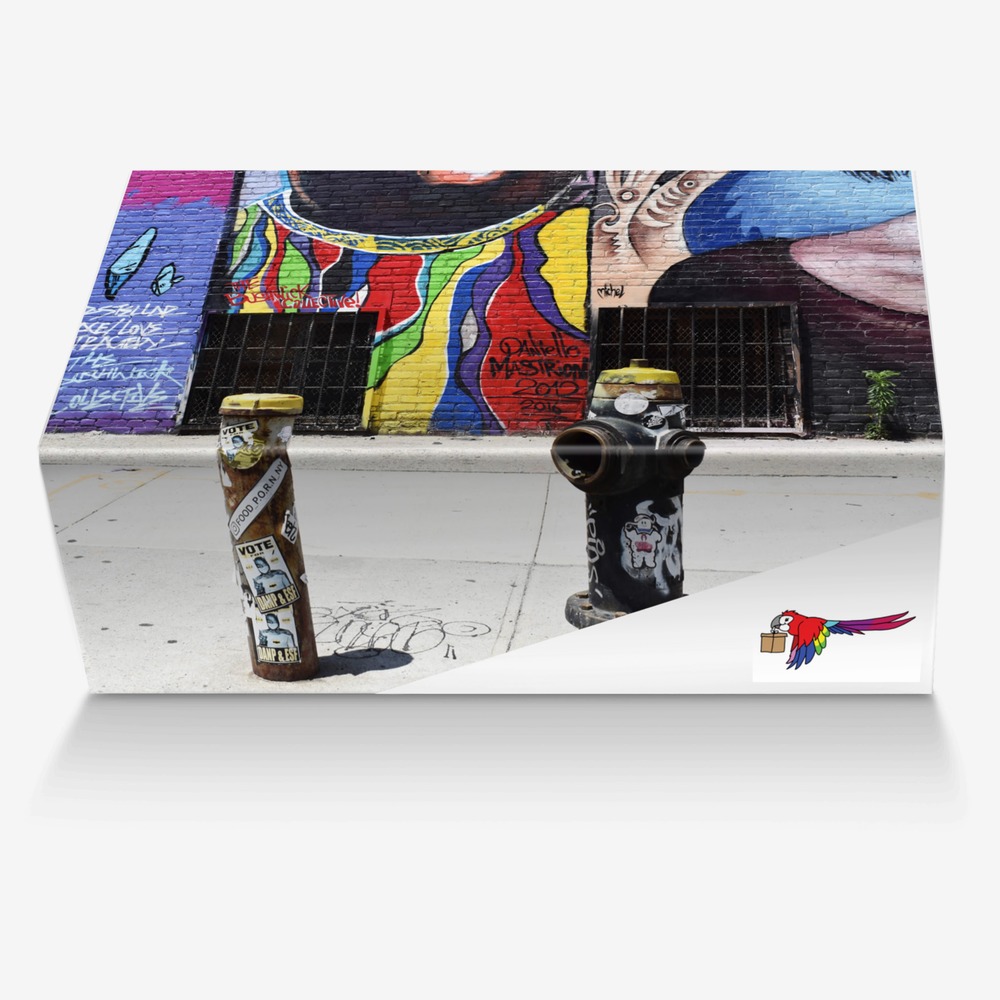 PUFFS custom made in Italy shoes by Anthony Pandozzi | Box view