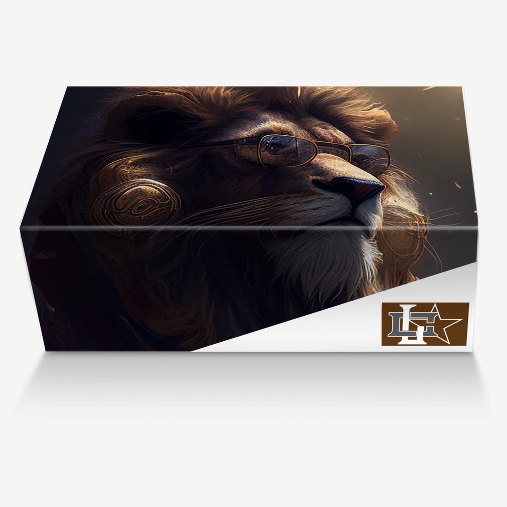 Concrete Lion custom made in Italy shoes by Rodney R. | Box view