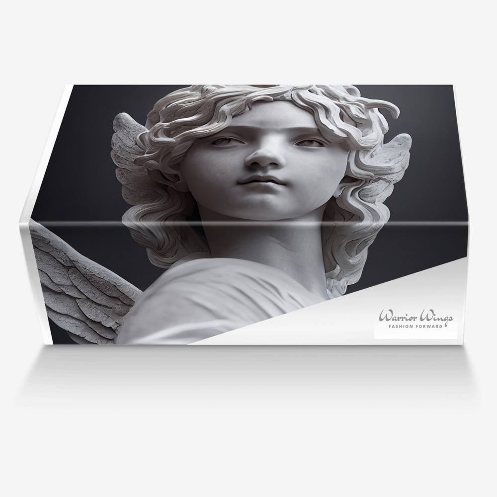 Warrior Wings custom made in Italy shoes by Selena A Razo Bell | Box view