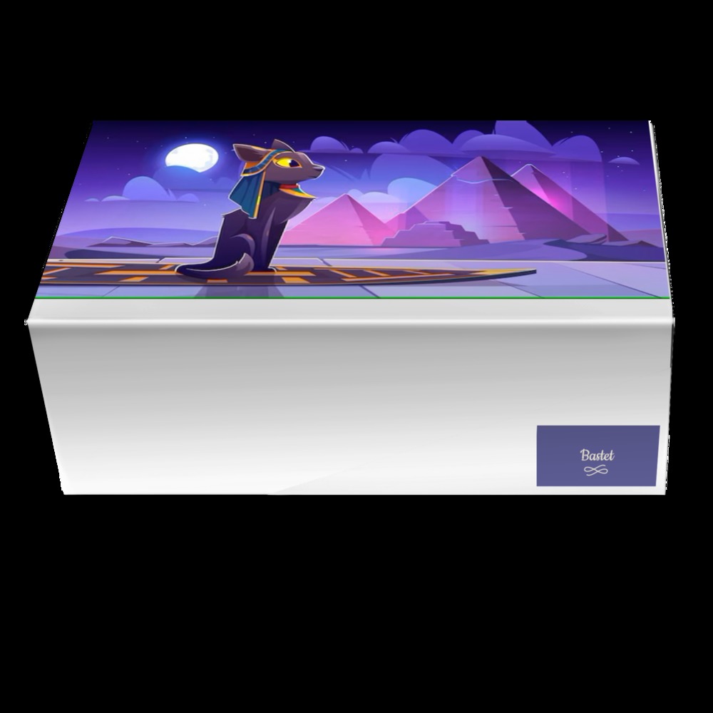 Bastet | A Custom Shoe concept by Nathan Ritzo