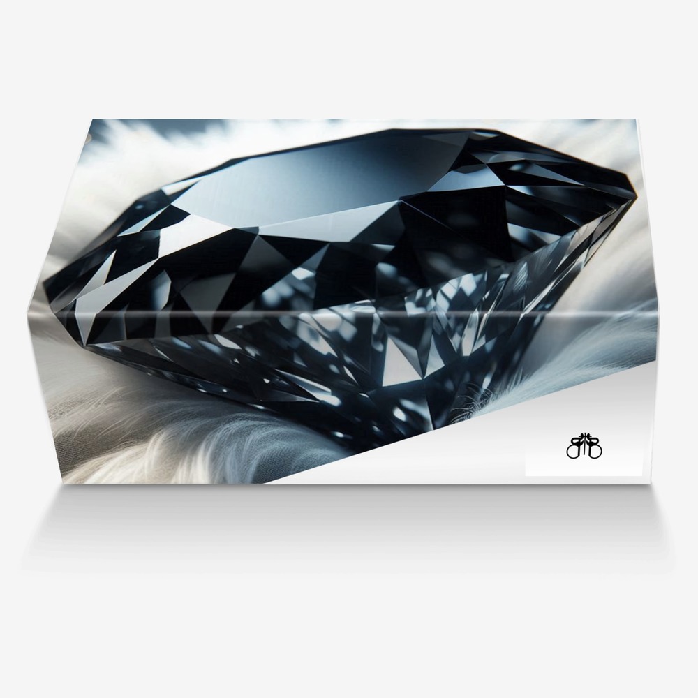 Gems Black Diamond custom made in Italy shoes by Brandon Edwards | Box view